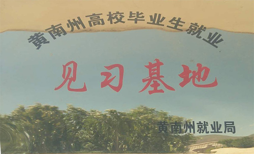 资质荣誉